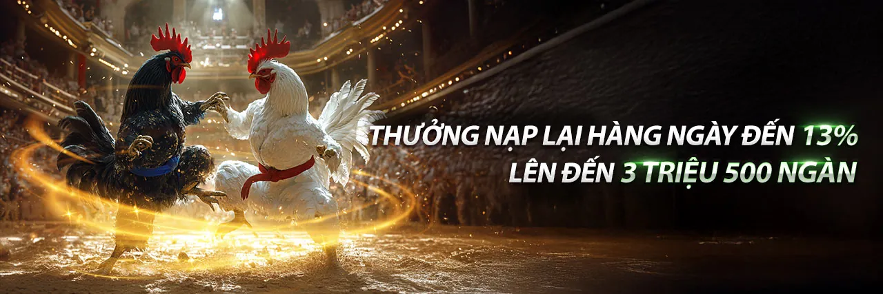 Đá Gà Trực Tiếp 17/2 - Sân đấu kịch tính